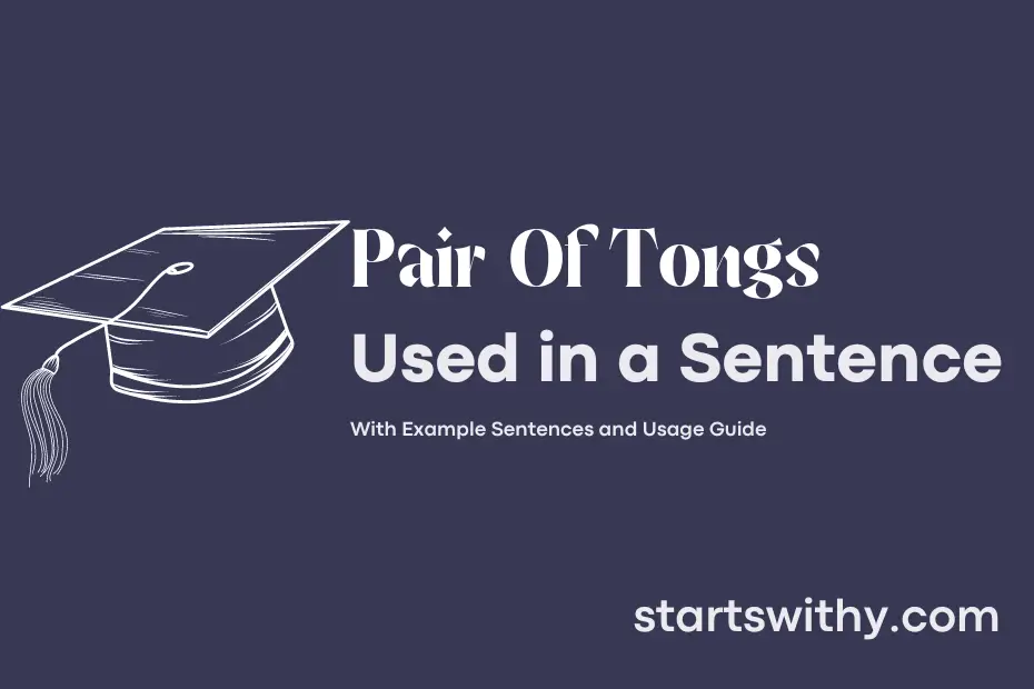 Sentence with Pair Of Tongs