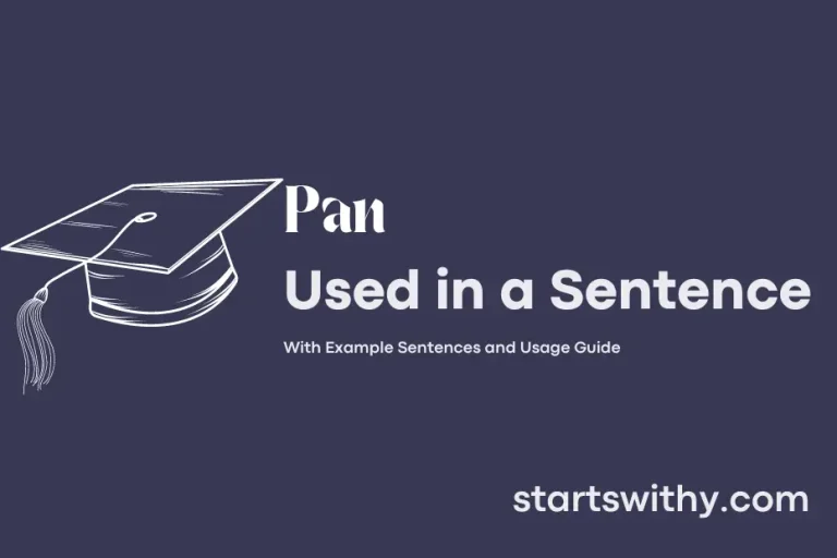 PAN in a Sentence Examples: 21 Ways to Use Pan
