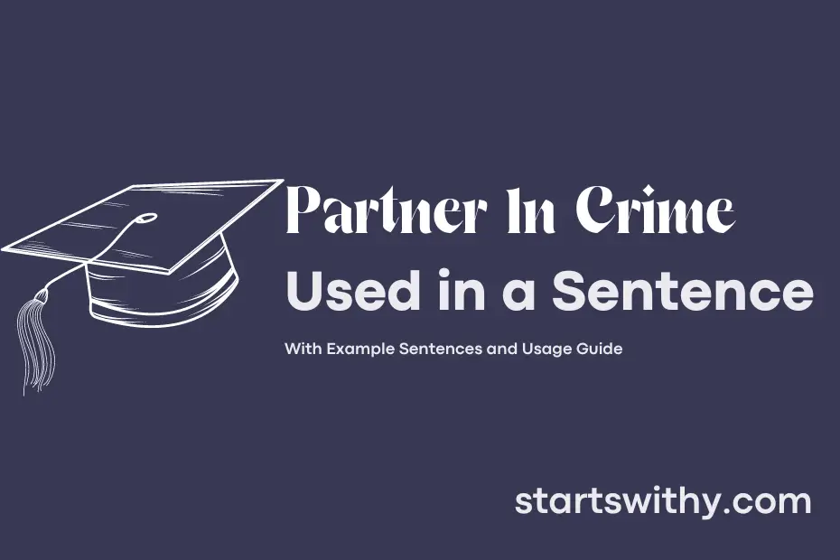 Sentence with Partner In Crime