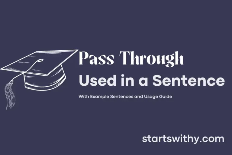 PASS THROUGH in a Sentence Examples: 21 Ways to Use Pass Through