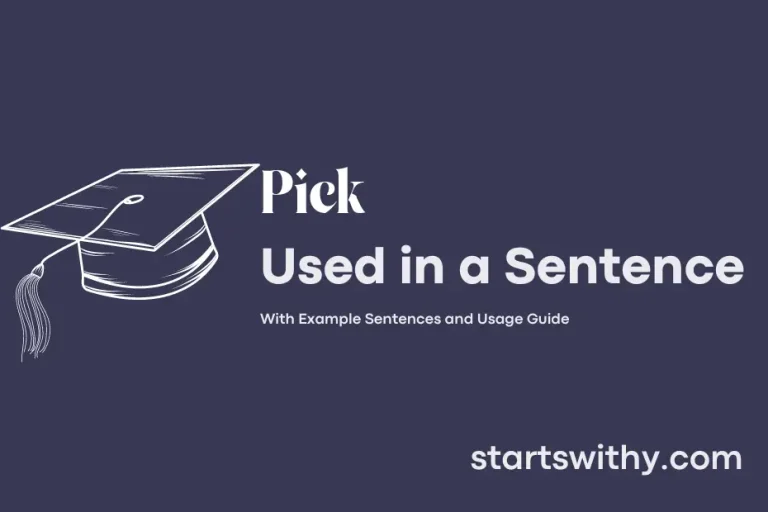 PICK in a Sentence Examples 21 Ways to Use Pick