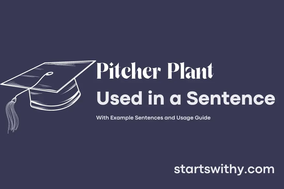 Sentence with Pitcher Plant