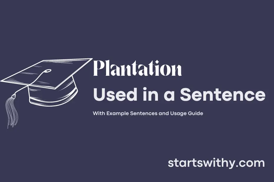 Sentence with Plantation