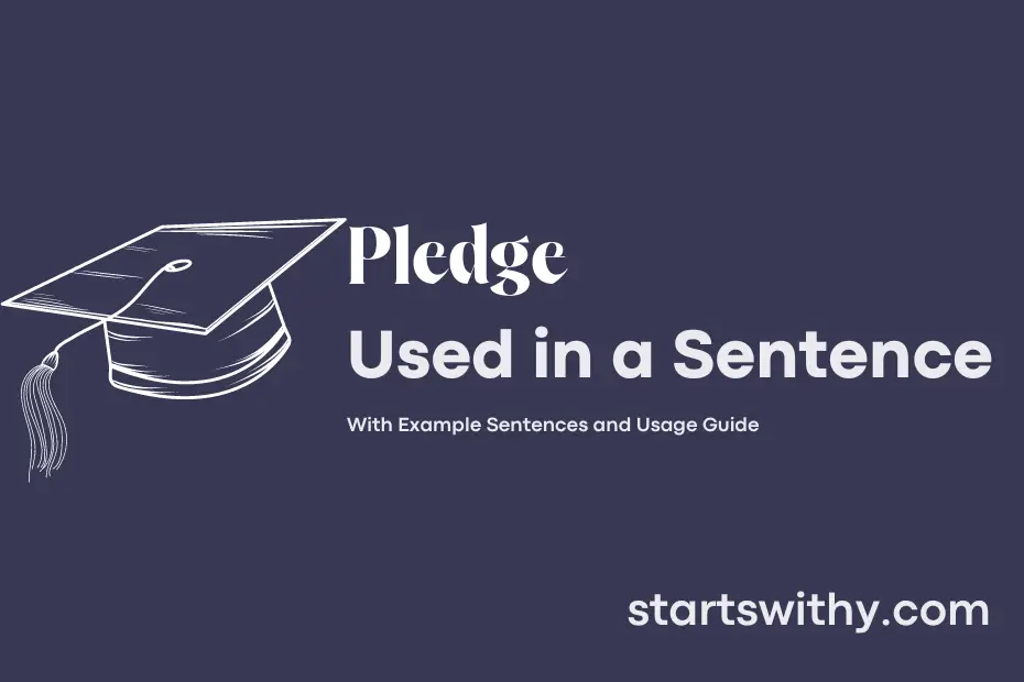 Sentence with Pledge