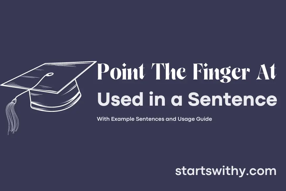Sentence with Point The Finger At