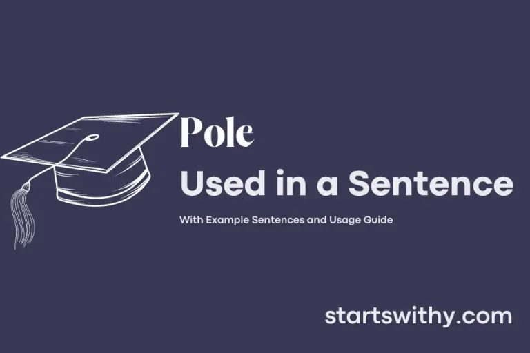 POLE in a Sentence Examples: 21 Ways to Use Pole