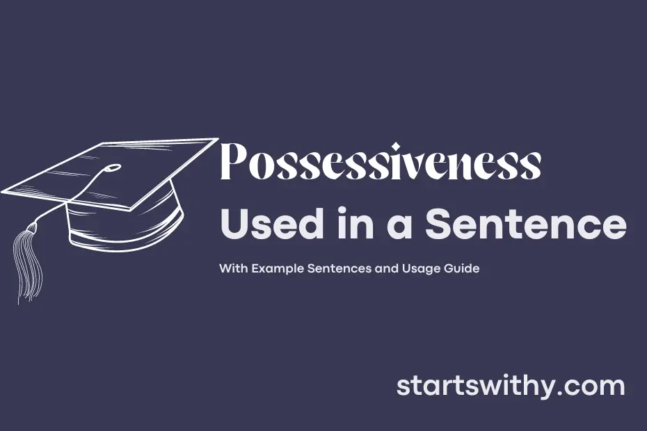 Sentence with Possessiveness