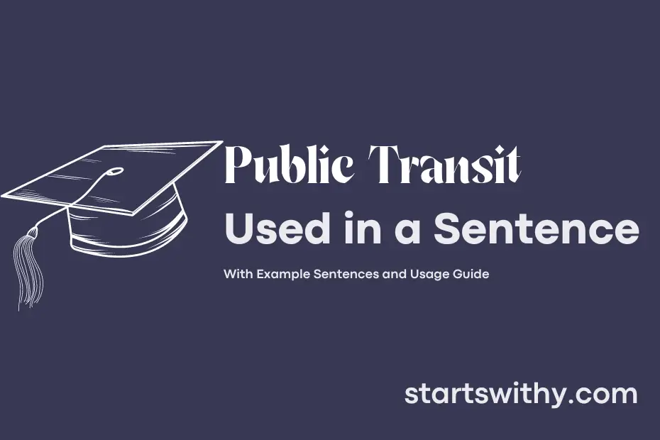 Sentence with Public Transit