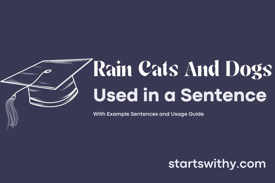 Sentence with Rain Cats And Dogs