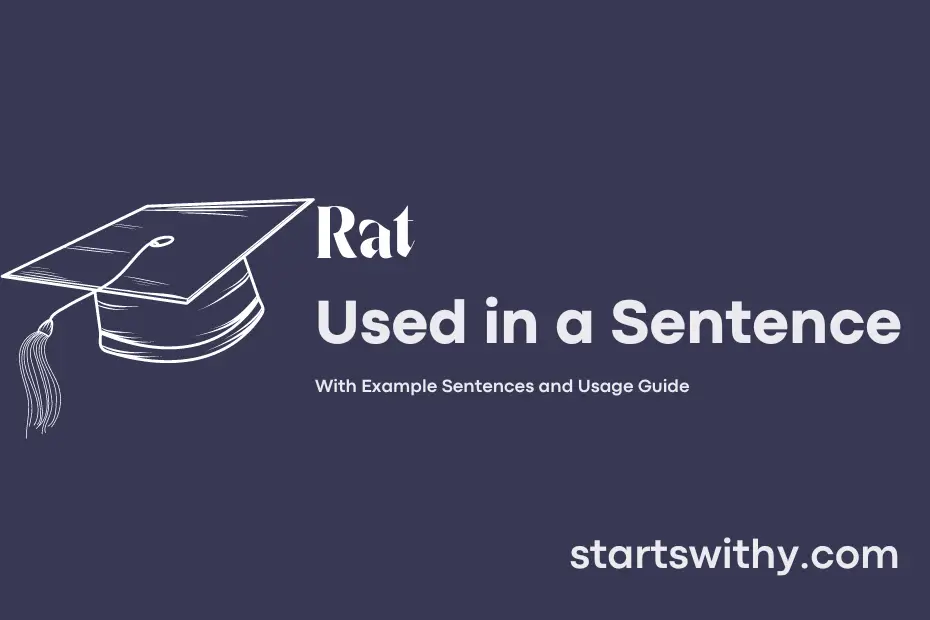 Sentence with Rat