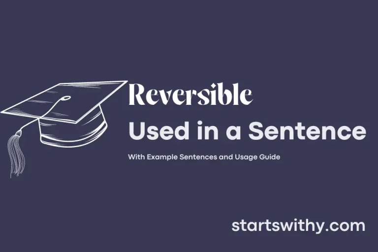 REVERSIBLE in a Sentence Examples: 21 Ways to Use Reversible