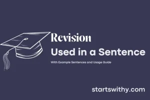 REVISION in a Sentence Examples: 21 Ways to Use Revision
