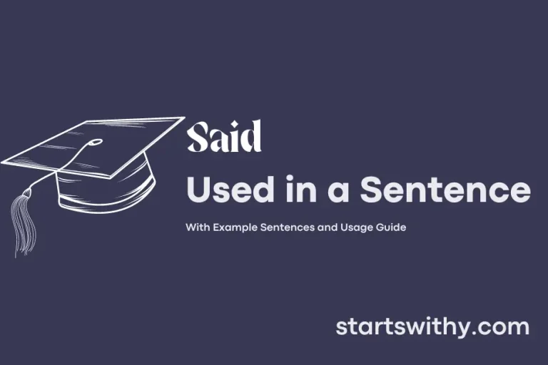 SAID in a Sentence Examples: 21 Ways to Use Said