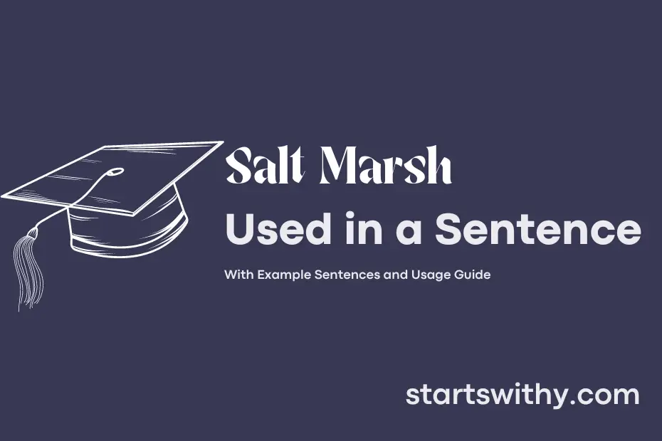 Sentence with Salt Marsh