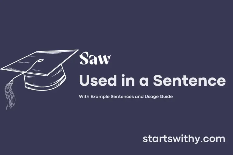 SAW in a Sentence Examples 21 Ways to Use Saw
