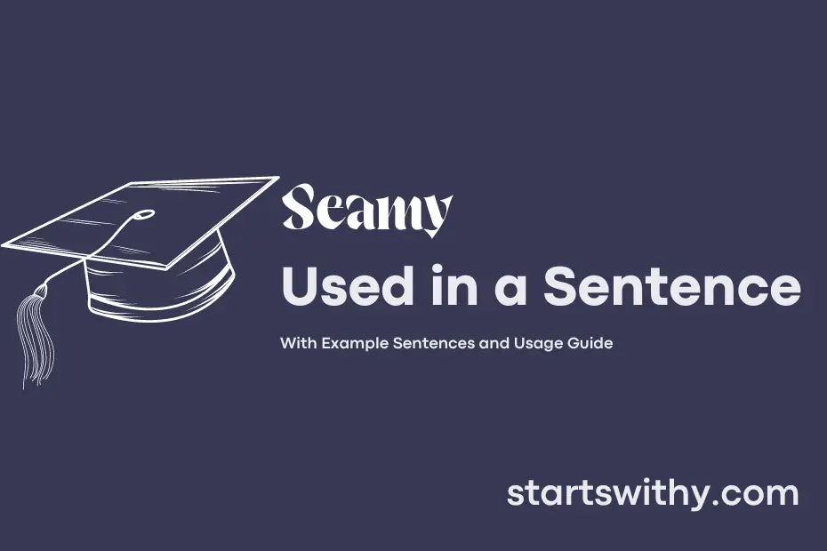 Sentence with Seamy