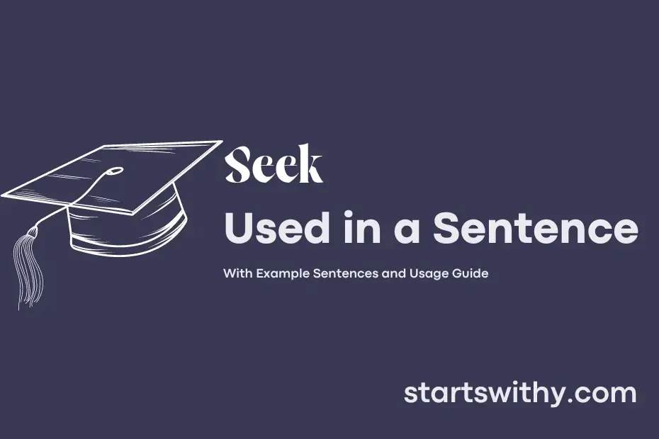 Sentence with Seek