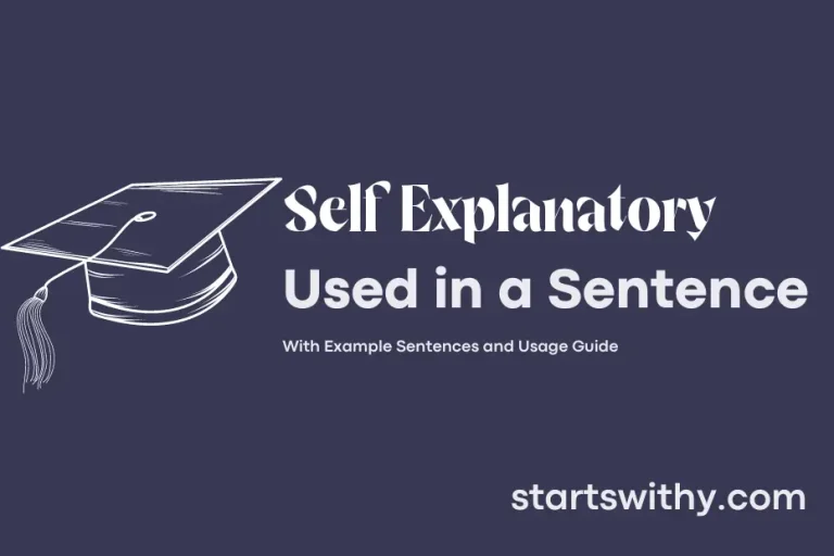 SELF EXPLANATORY in a Sentence Examples: 21 Ways to Use Self Explanatory