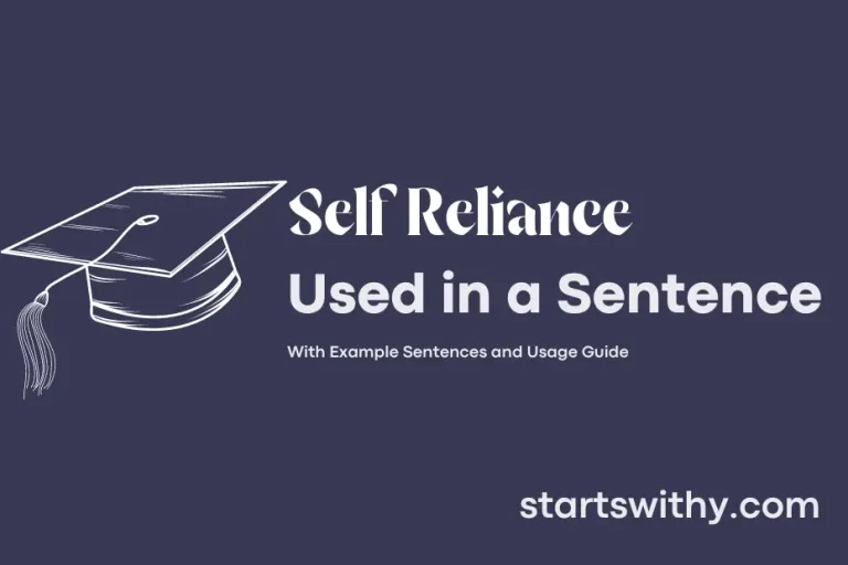 SELF RELIANCE in a Sentence Examples 21 Ways to Use Self Reliance