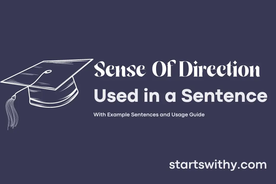 Sentence with Sense Of Direction