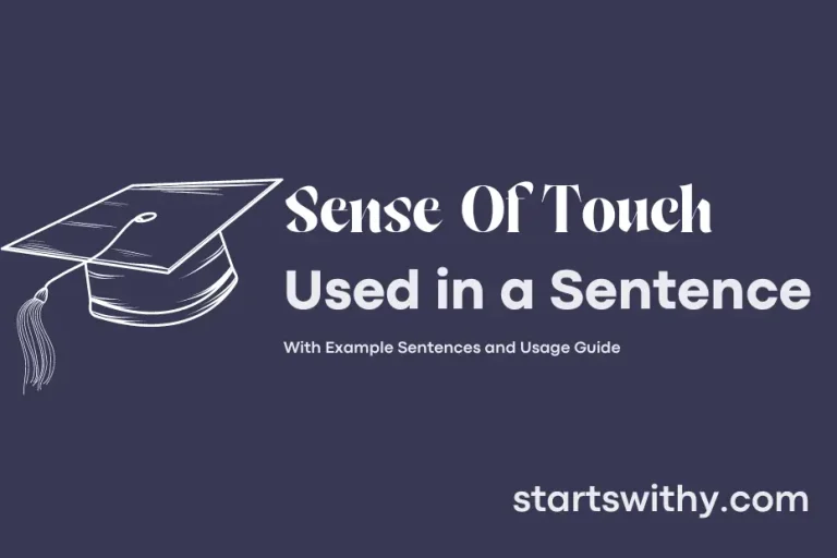 SENSE OF TOUCH in a Sentence Examples 21 Ways to Use Sense Of Touch