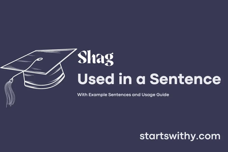 Sentence with Shag