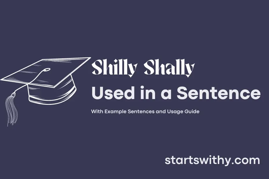 Sentence with Shilly Shally