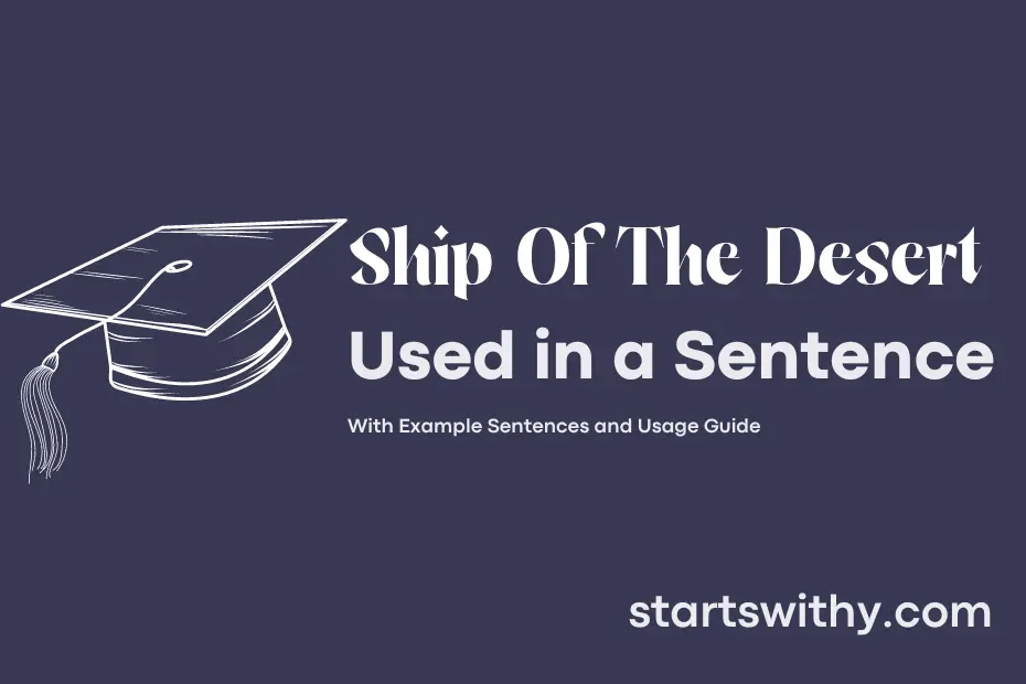 Sentence with Ship Of The Desert