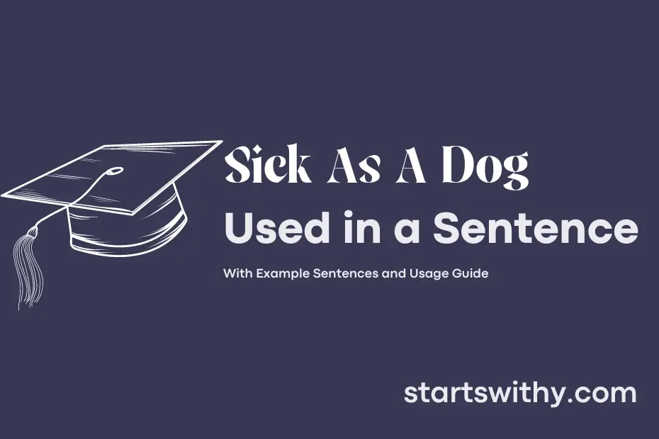 Sentence with Sick As A Dog