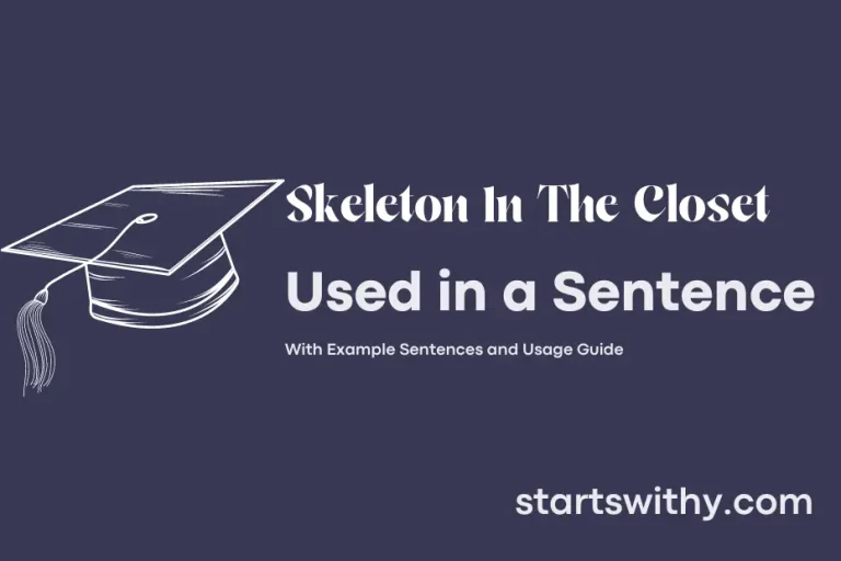 SKELETON IN THE CLOSET in a Sentence Examples: 21 Ways to Use Skeleton ...