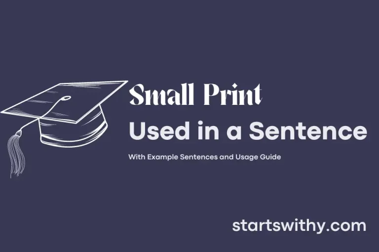 SMALL PRINT in a Sentence Examples 21 Ways to Use Small Print