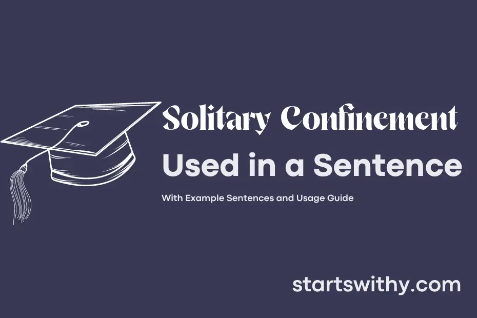 Sentence with Solitary Confinement