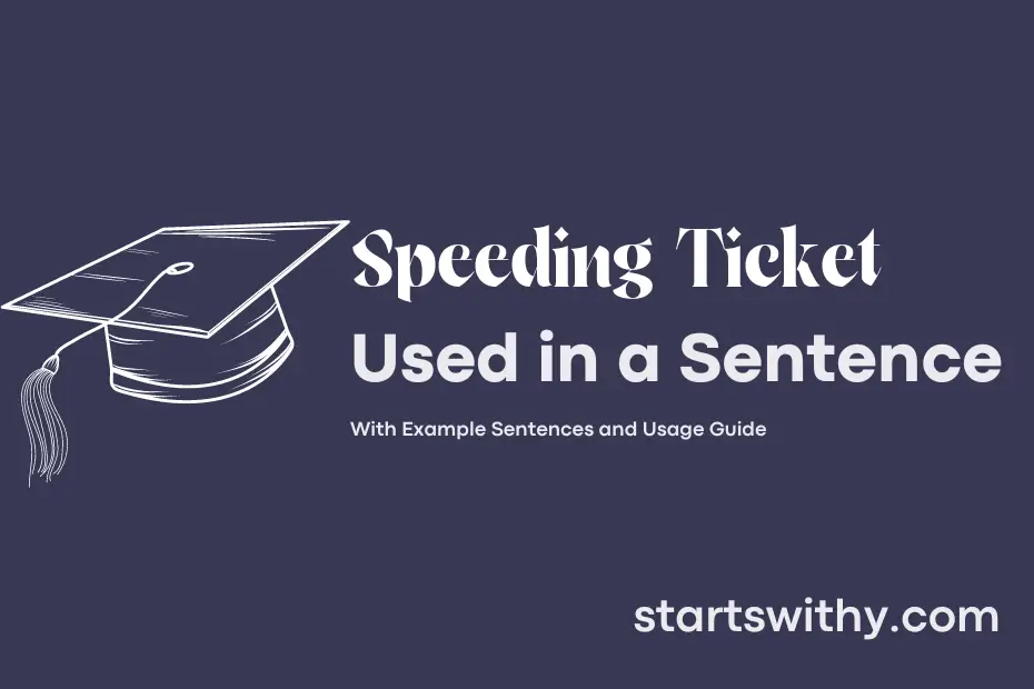 Sentence with Speeding Ticket