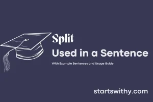 SPLIT in a Sentence Examples: 21 Ways to Use Split