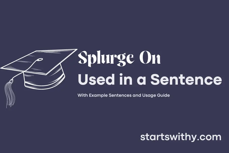 Sentence with Splurge On