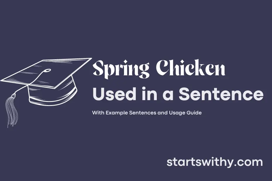 Sentence with Spring Chicken