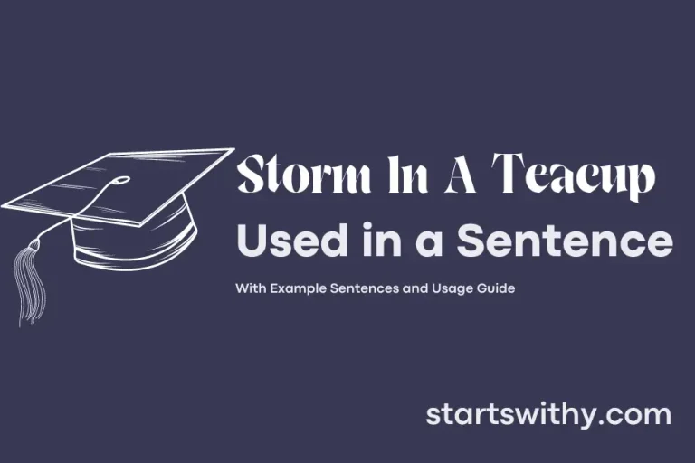 STORM IN A TEACUP in a Sentence Examples 21 Ways to Use Storm In A Teacup