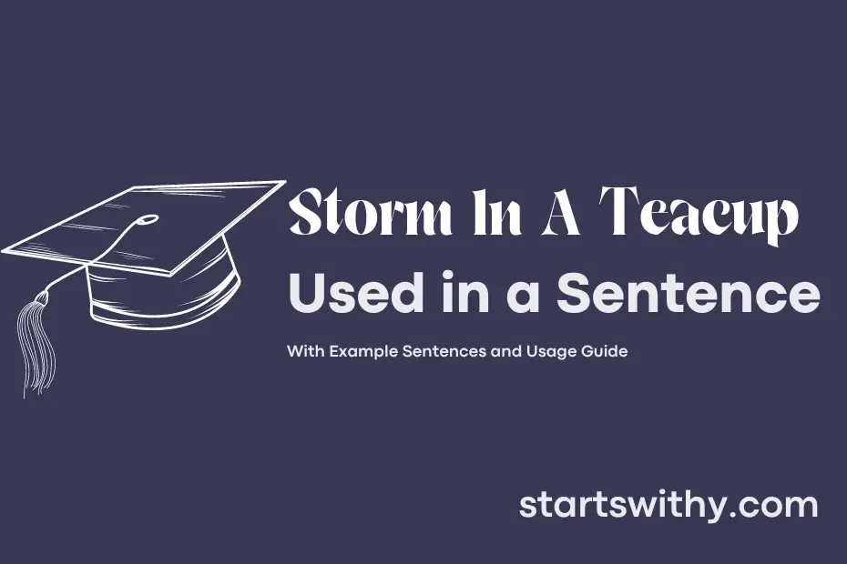 Sentence with Storm In A Teacup