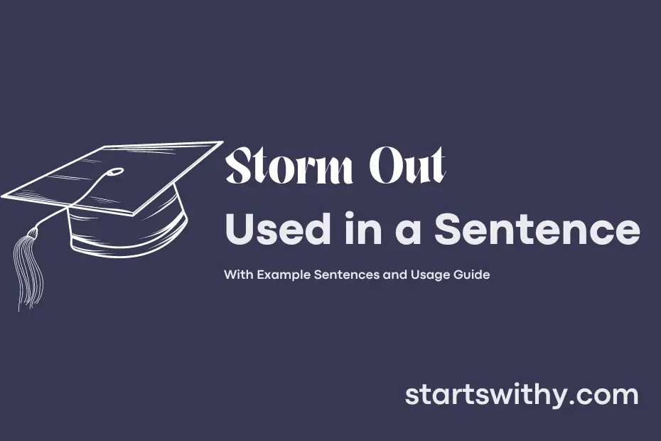 Sentence with Storm Out