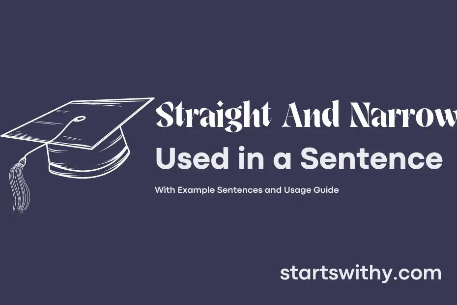 Sentence with Straight And Narrow