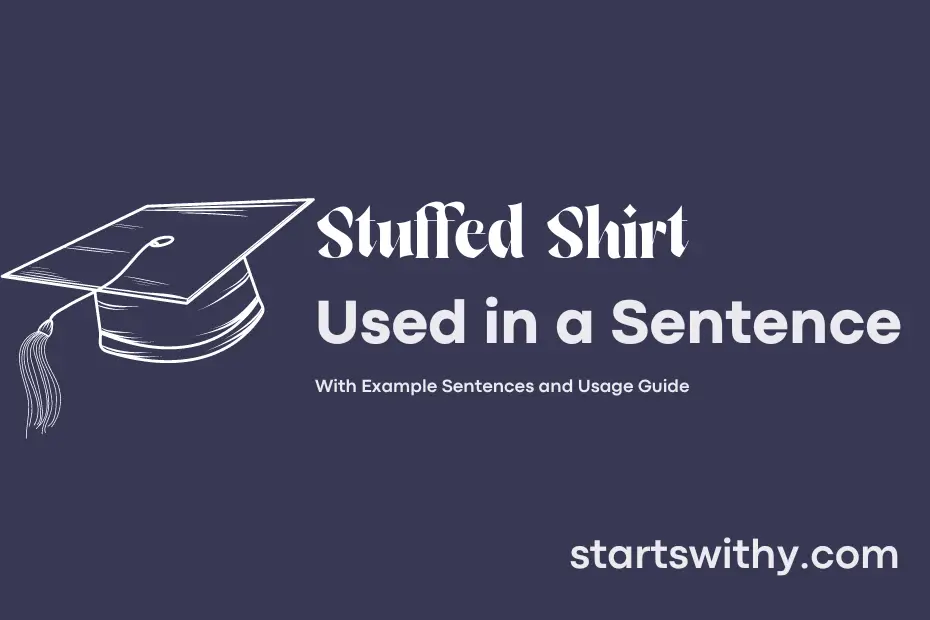 Sentence with Stuffed Shirt