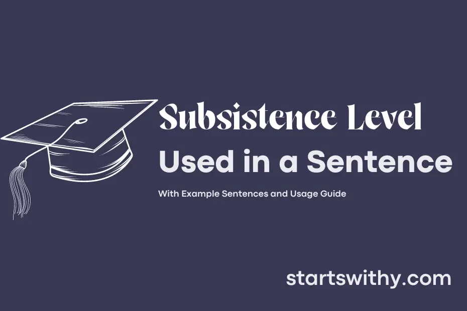 Sentence with Subsistence Level
