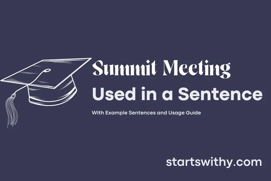 Sentence with Summit Meeting