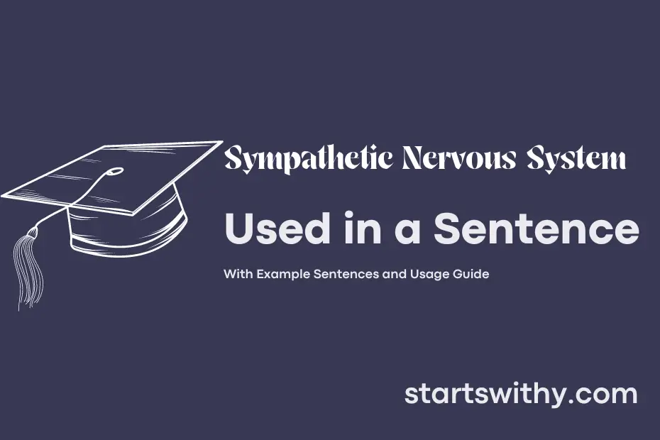 Sentence with Sympathetic Nervous System