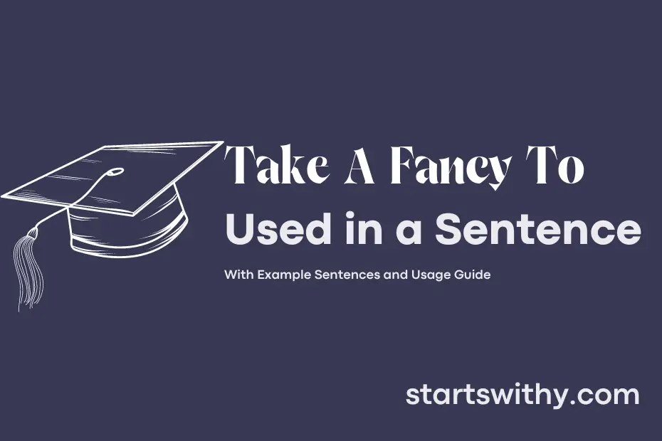 Sentence with Take A Fancy To