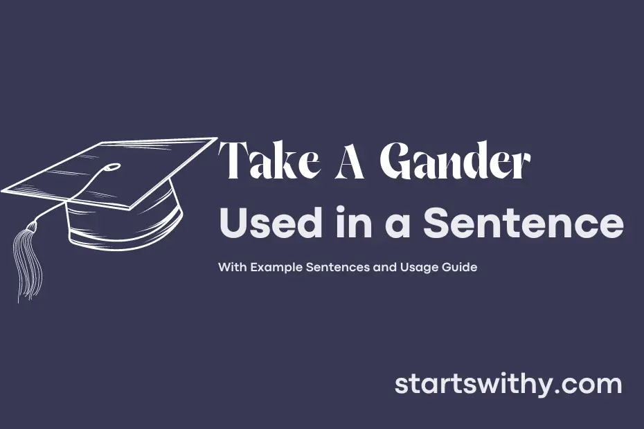 Sentence with Take A Gander