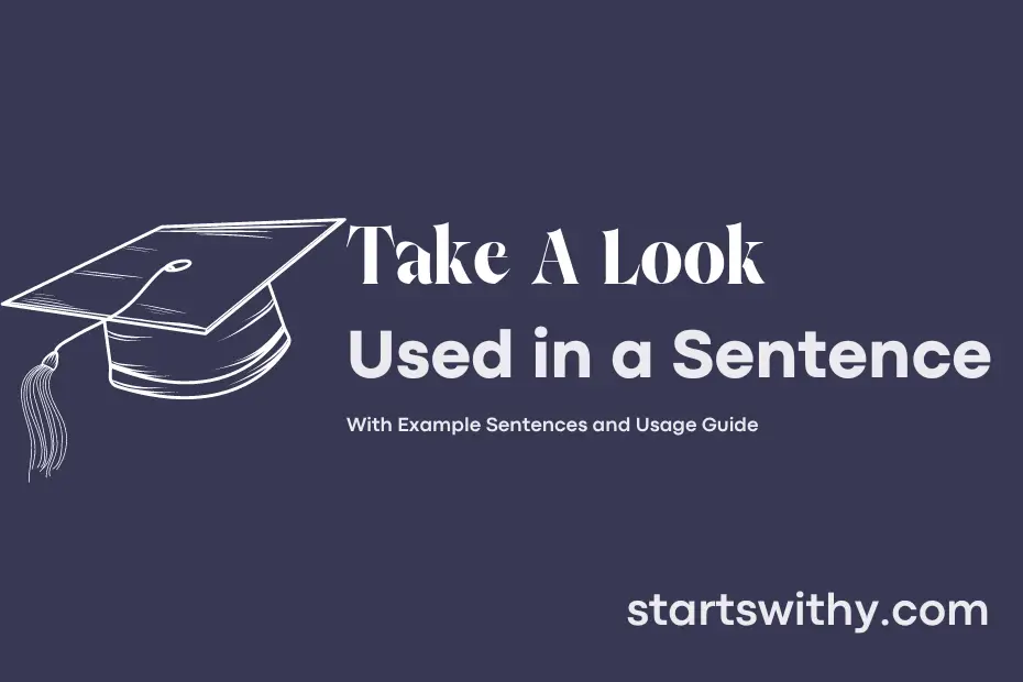 Sentence with Take A Look