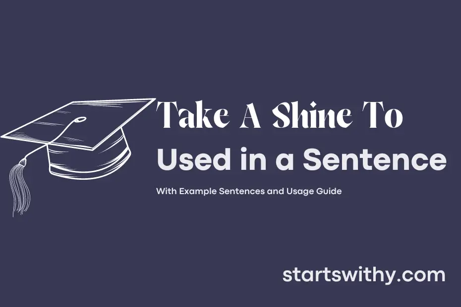 Sentence with Take A Shine To