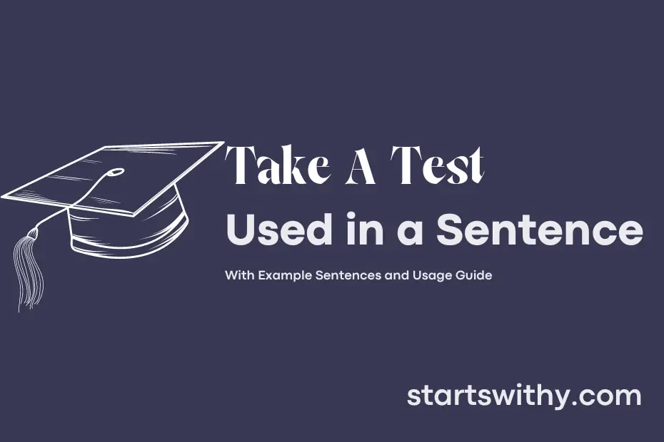 Sentence with Take A Test