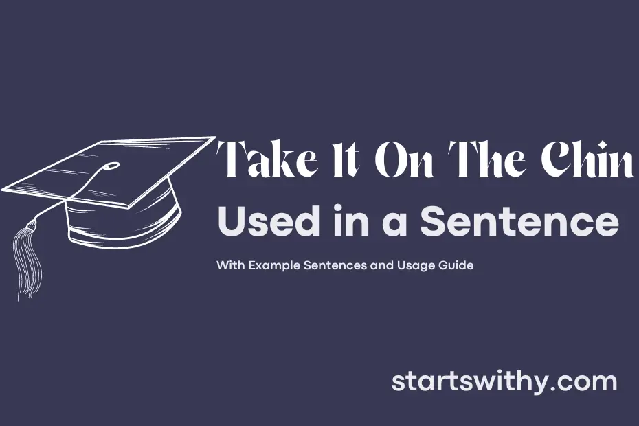 Sentence with Take It On The Chin